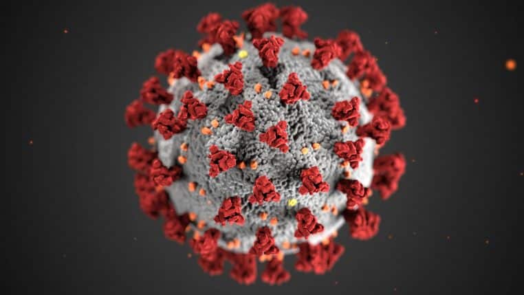 Un nouveau virus identifié en France