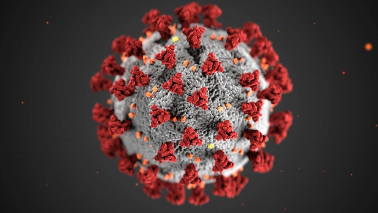 Un nouveau virus identifié en France
