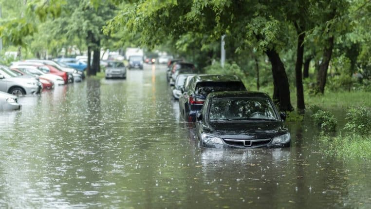 Rues inondées avec des voitures et de nombreux arbres