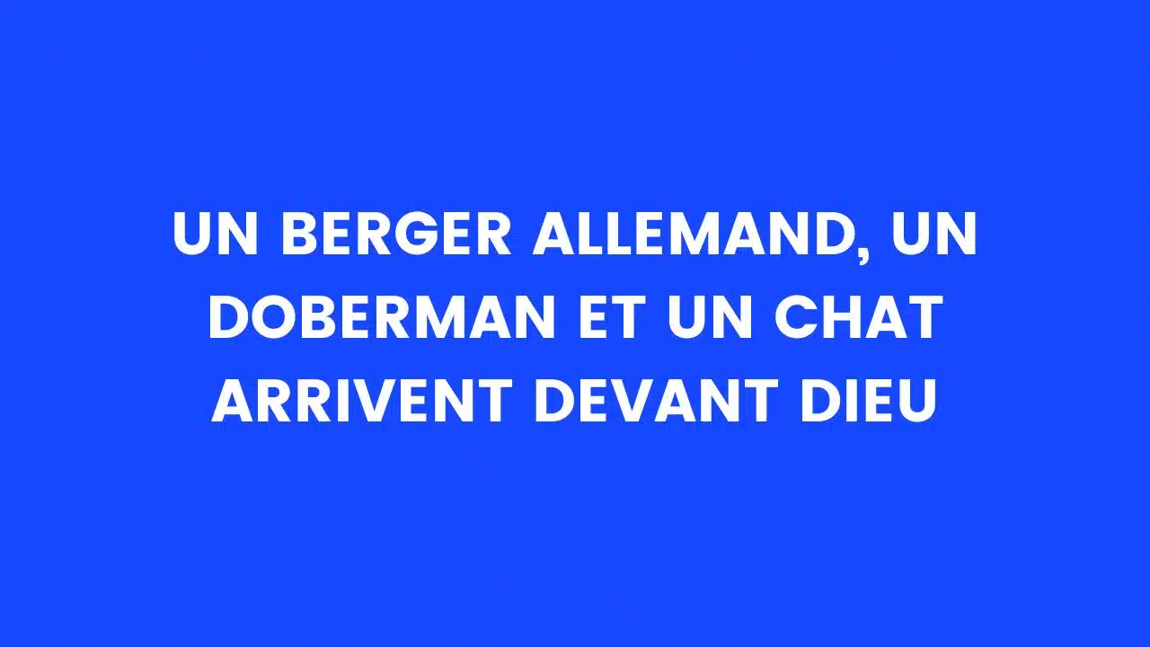 Template Blague