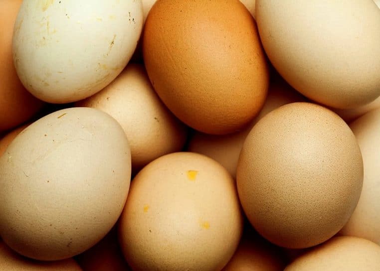 cette erreur que tout le monde fait avec les oeufs