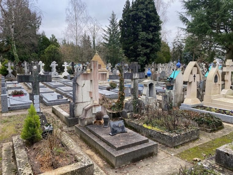 cimetiere femme morte attaque chien