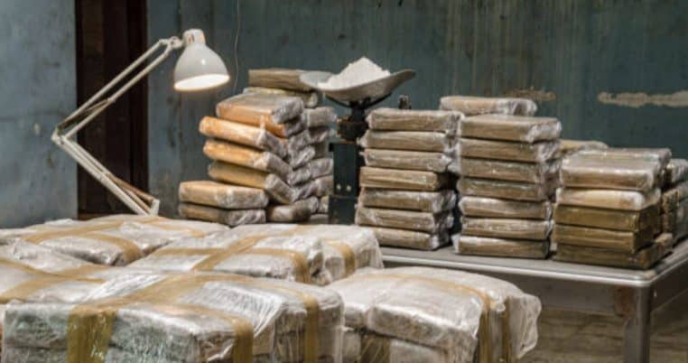 Image illustration de la cocaïne retrouvée dans des cartons de bananes.