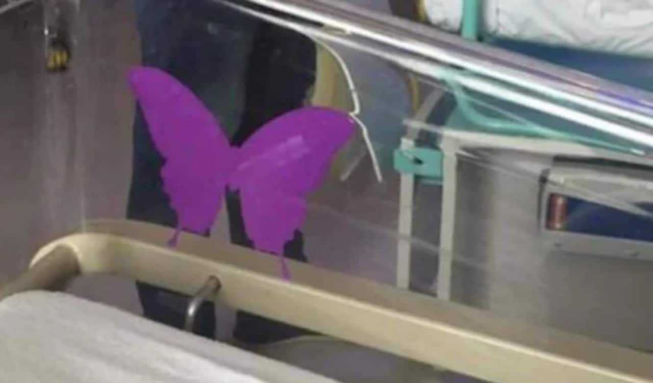 papillon violet sur berceau