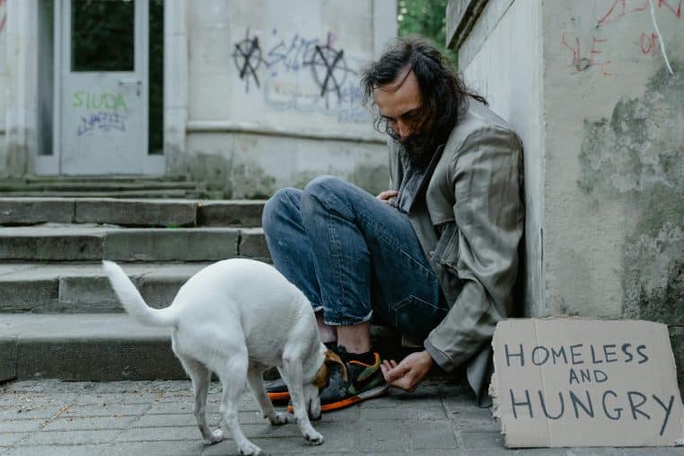 Un sans-abri refuse de se séparer de sa chienne