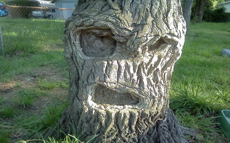 Attend-quoi-pareidolie-arbre