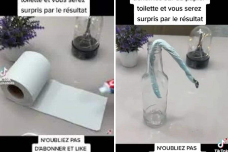 astuce anti moustiques papier toilette dentifrice (3)