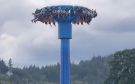 attractions manège insolite