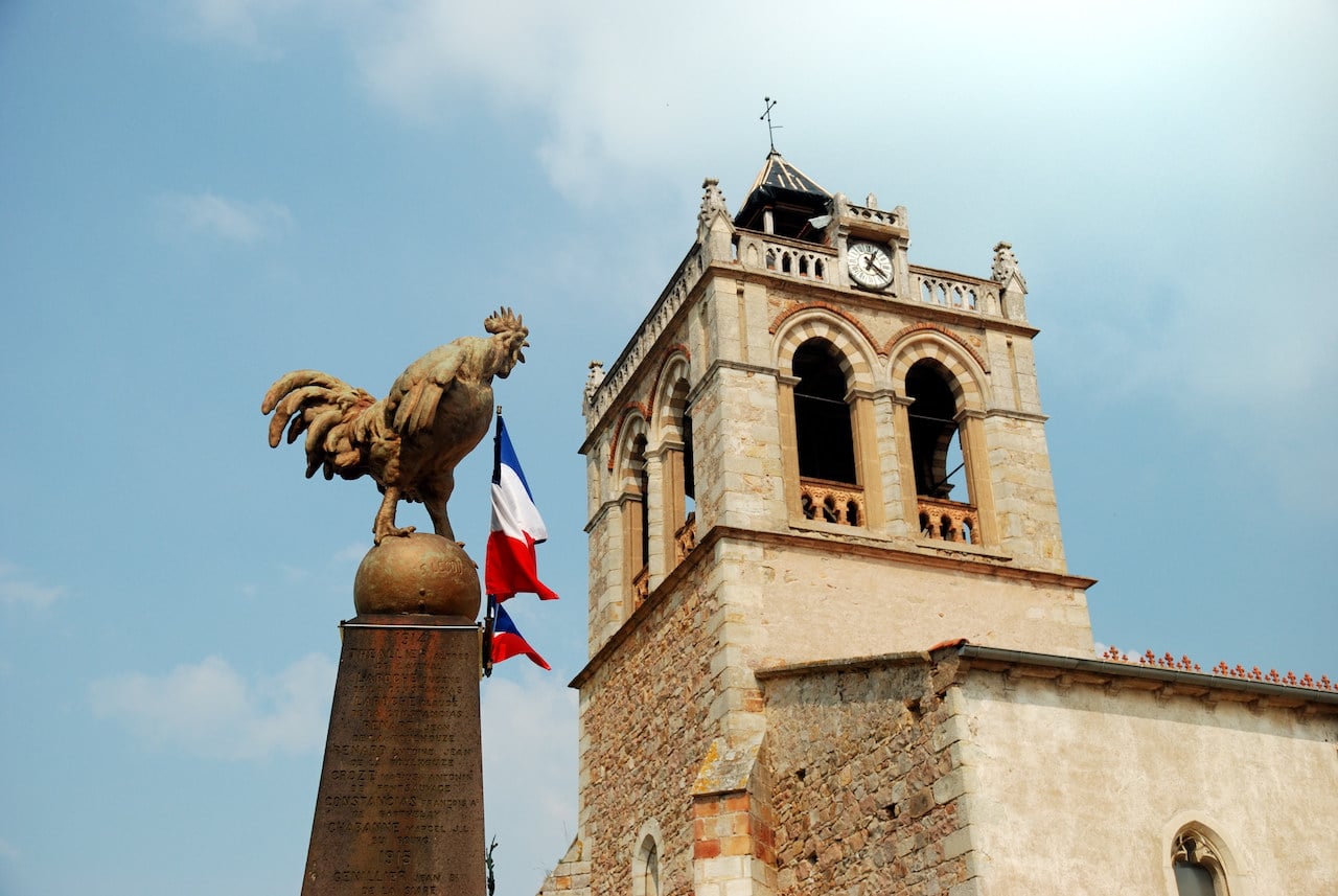 coq france