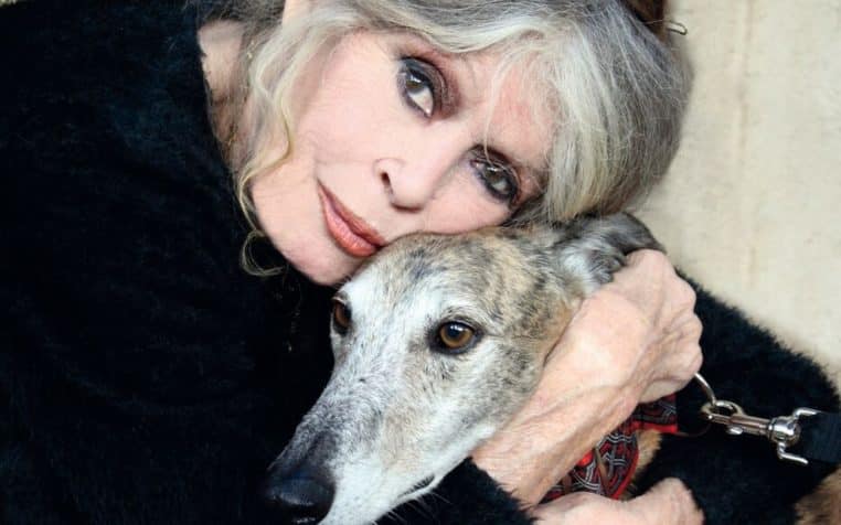 Brigitte Bardot