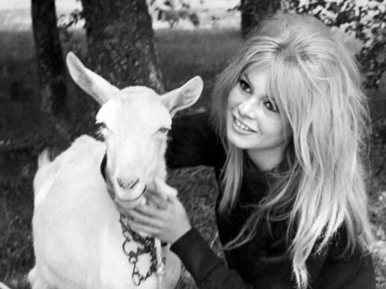 Brigitte Bardot