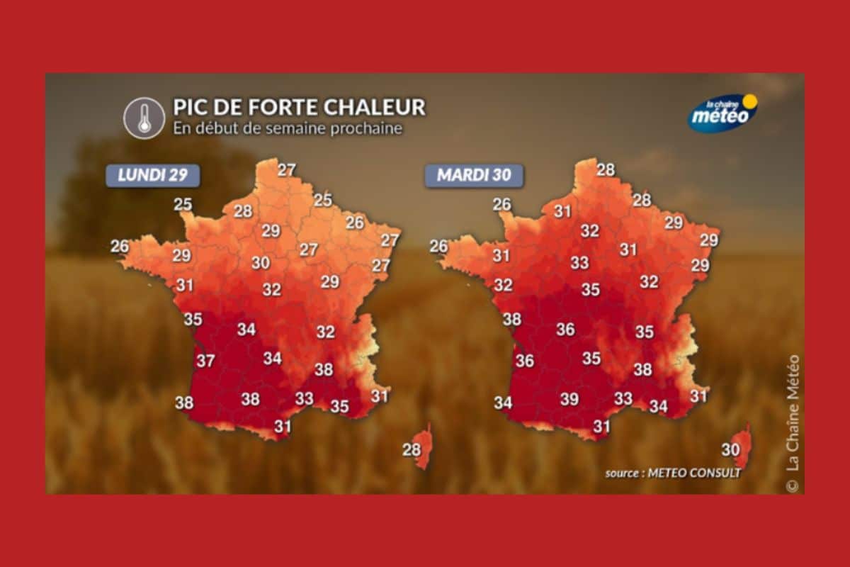 Canicule : Jusqu'à 40 degrés attendus la semaine prochaine en France