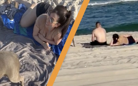 infidèle
