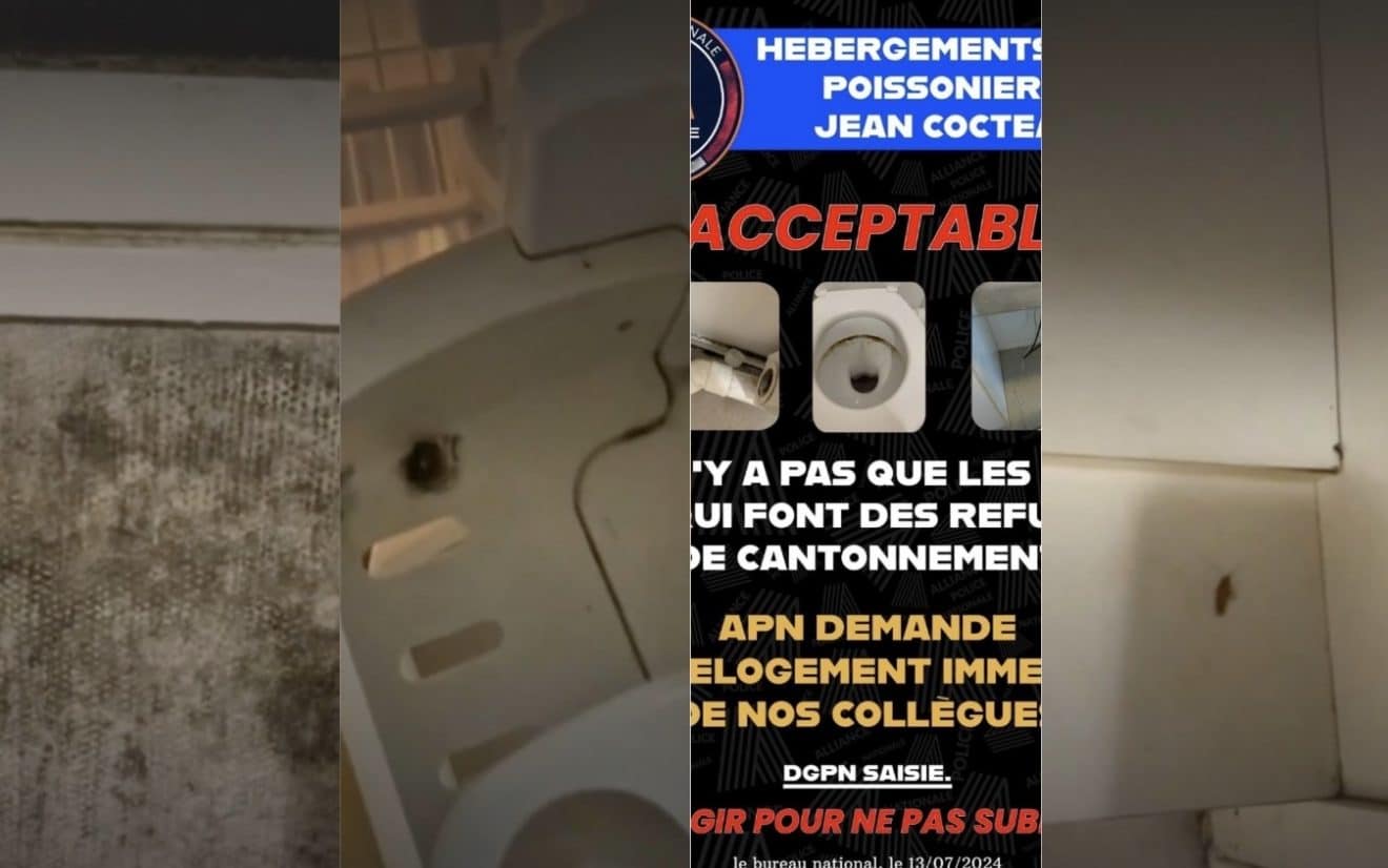 logements insalubres