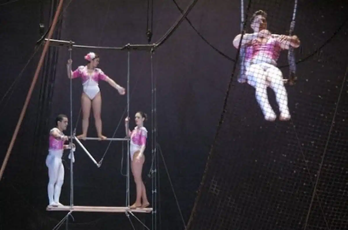 trapeziste caca