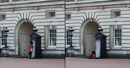 garde-royale-anglais-chute-calme
