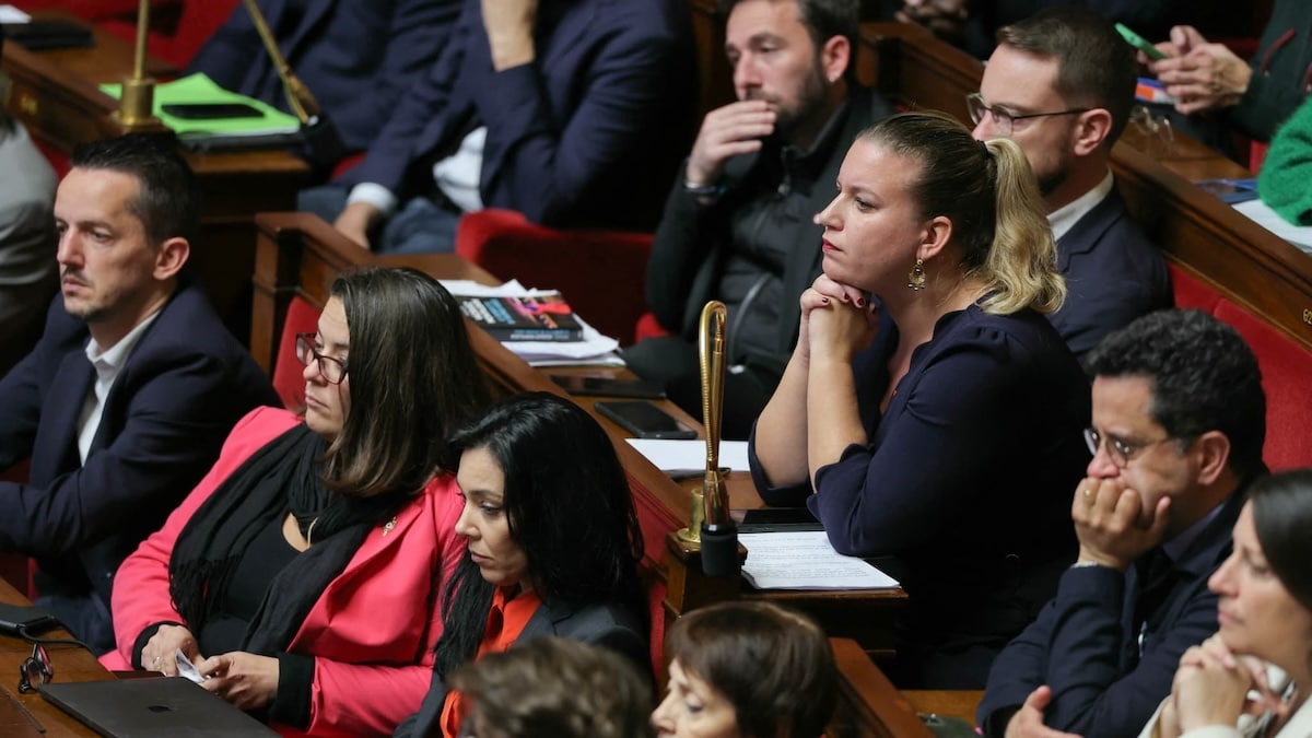 la france insoumise delit terroriste - copie