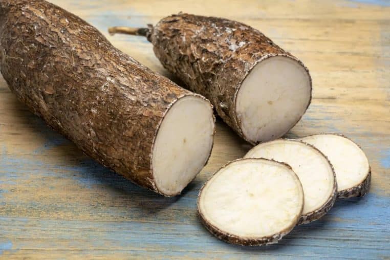 Aliment Manioc Cyanure