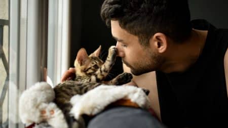 Chat homme