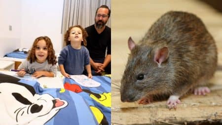 Pere attaque rat enfant blesse