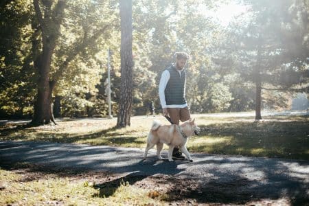 Bientôt des congés animaux malades ?