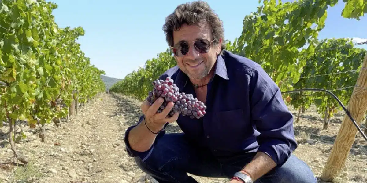 9 Patrick Bruel vin