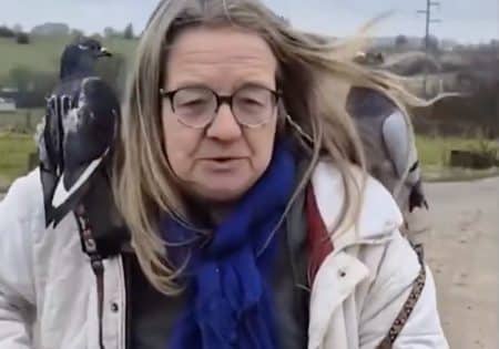 brigitte pigeons laisse