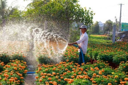 Votre jardin peut vous donner droit à un chèque
