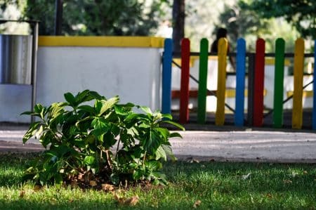 Un oiseau dépose la main coupée d'un enfant dans une cour d'école