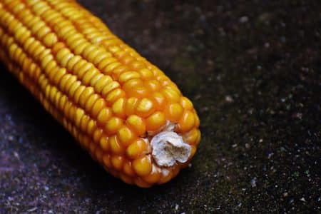 Recette de maïs croquant au Airfryer