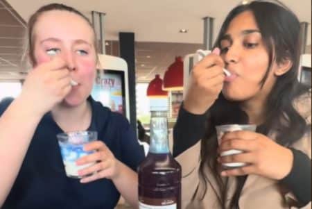 McDonald's Nouveautés McFlurry