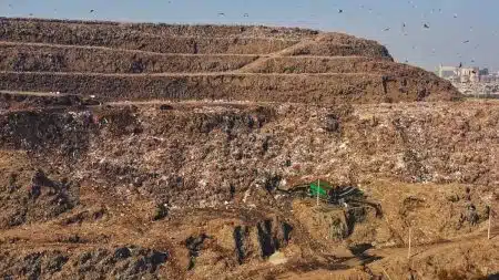 Ordures inde dehli