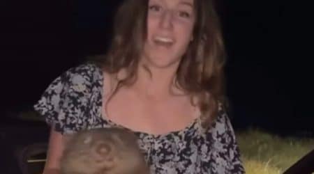 bebe wombat influenceuse polemique