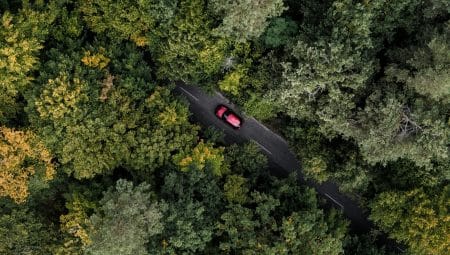 Il abandonne son fils en forêt et le traine sur plusieurs mètres