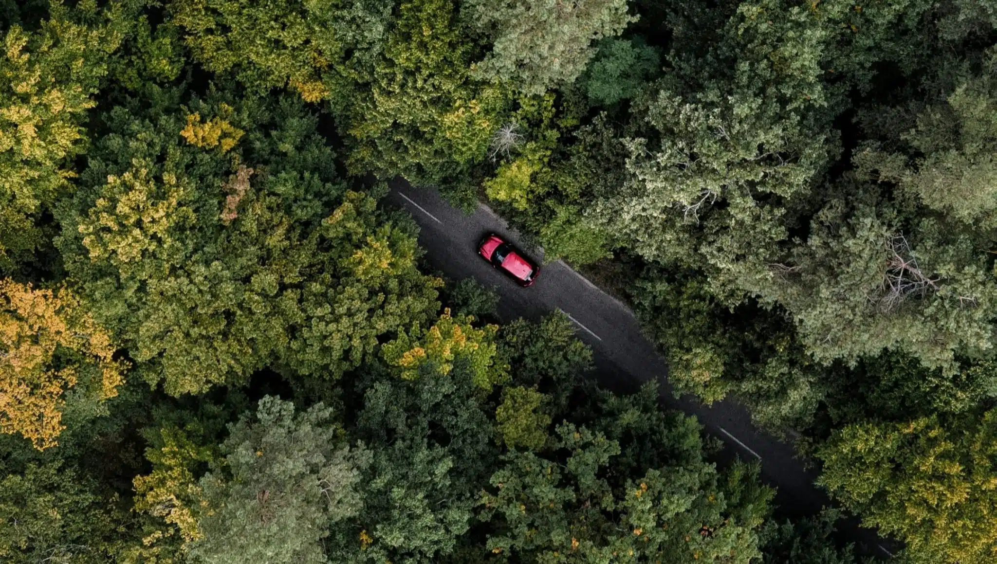 Il abandonne son fils en forêt et le traine sur plusieurs mètres