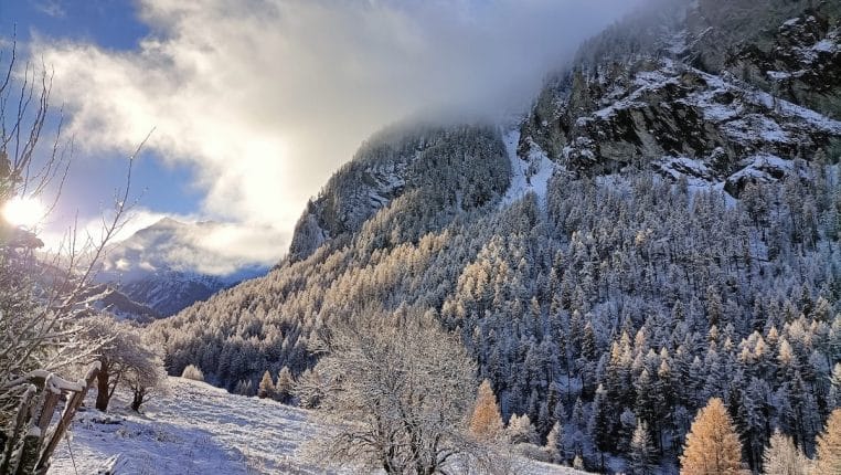 neige enfin de retour en france