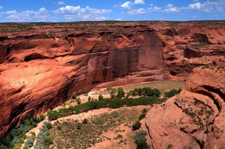 enfant de 2 ans perdu en Arizona retrouvée grâce à un chien