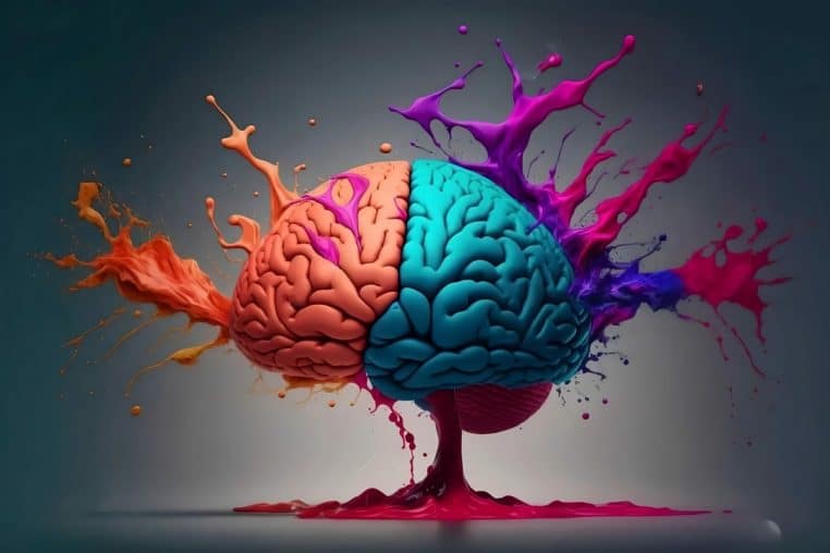 Cerveau atrophie