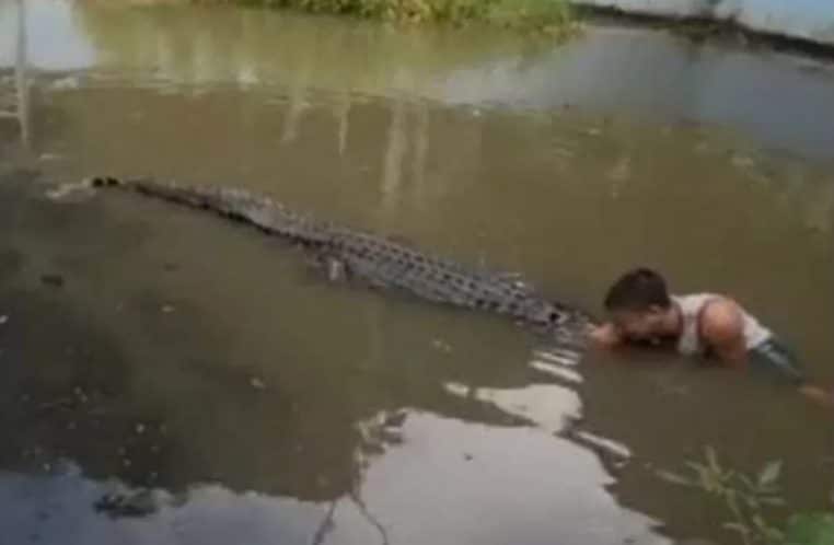 Crocodile attaque un homme qui veut prendre un selfie