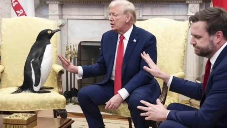 Donald Trump vs pingouins