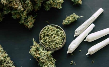 actu cannabis info@
