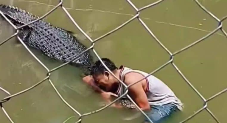 Crocodile attaque un homme qui veut prendre un selfie