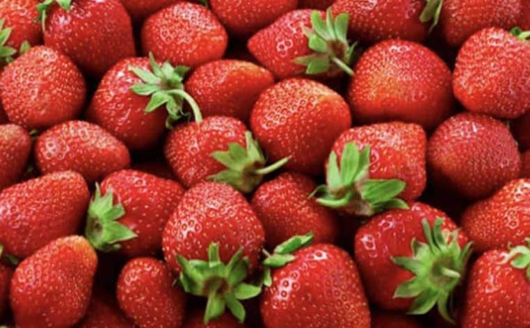 jardinier fruits fraises
