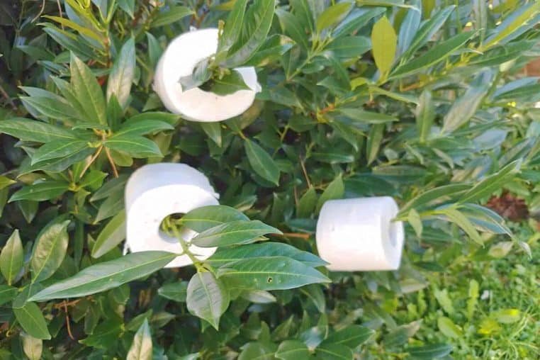 papier toilette jardin