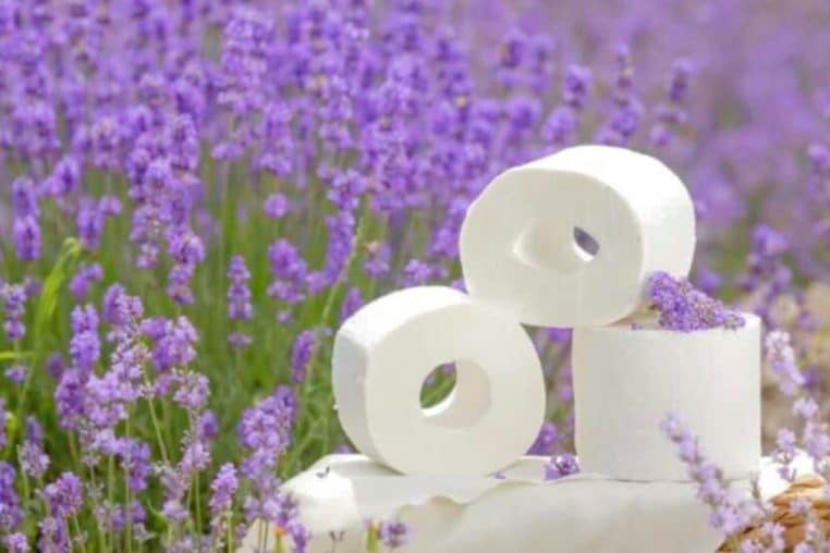 papier toilette jardin