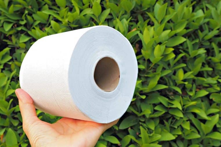 papier toilette jardin