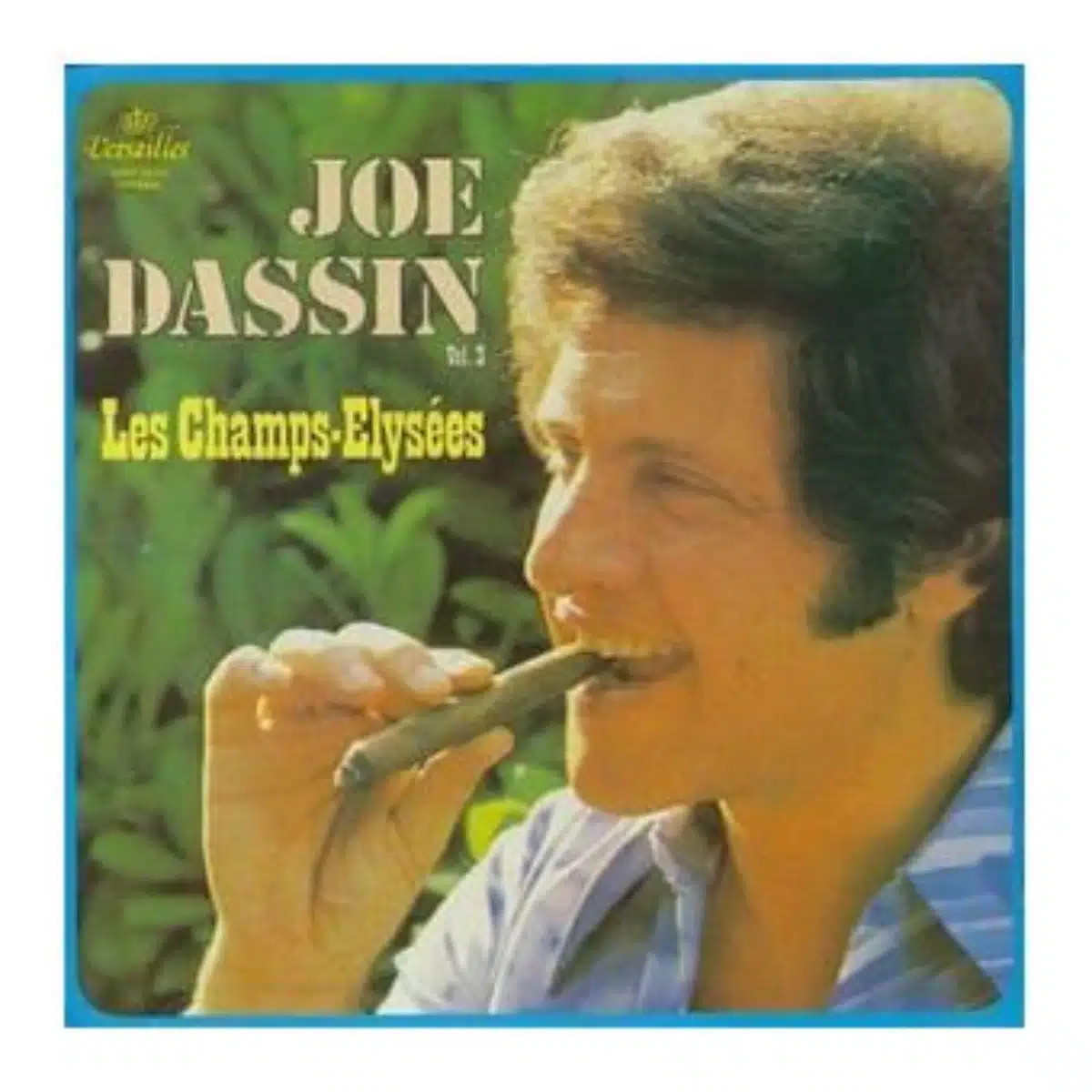 15 Joe Dassin carriere tube champs elysées