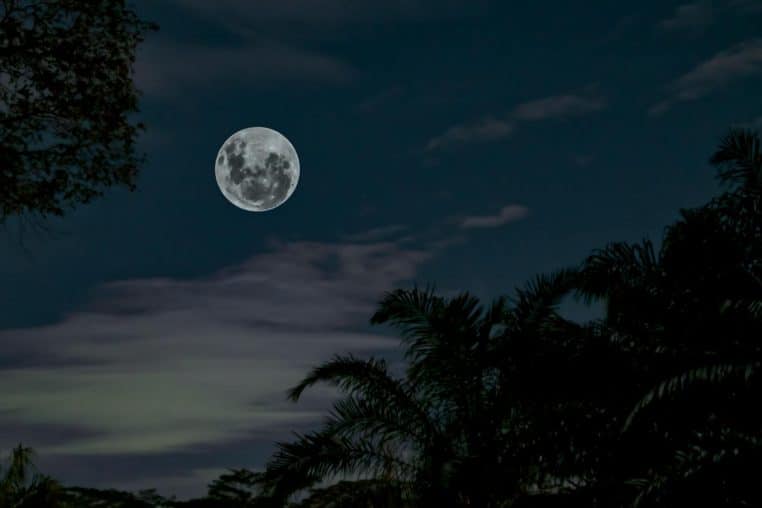 Serene view of a full moon illuminating a tropical forest at night in Indonesia.