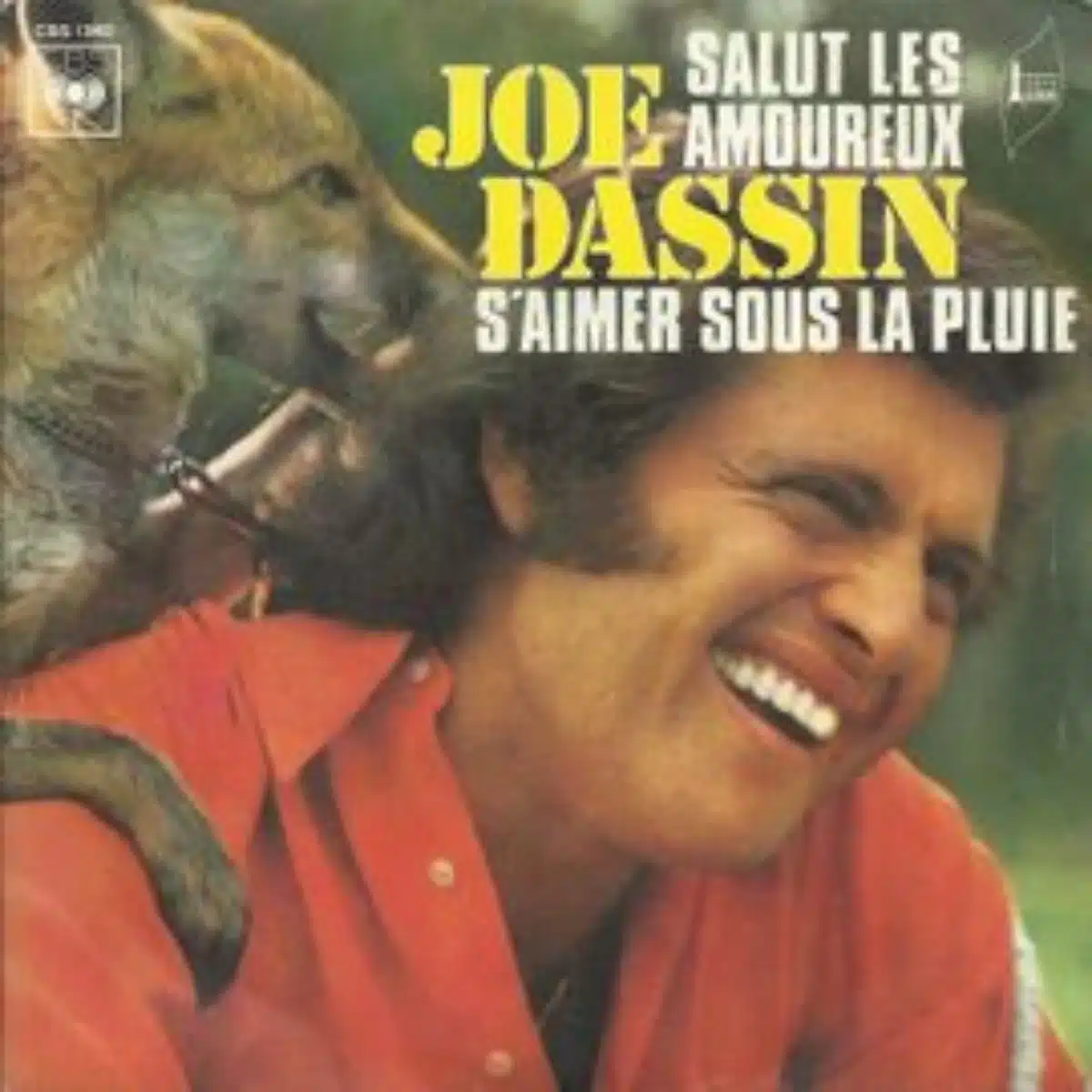 18 Joe Dassin carriere tube salut les amoureux