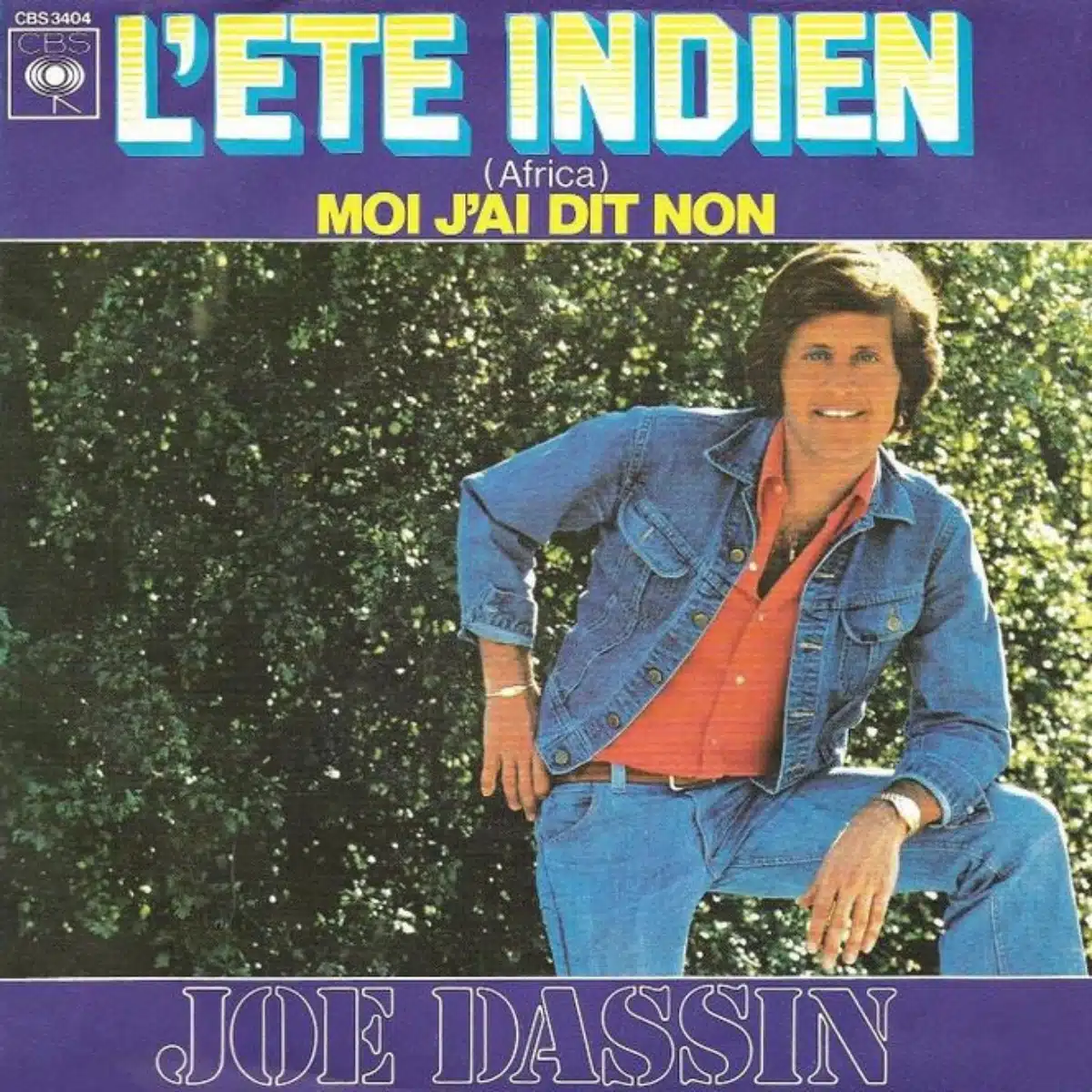 19 Joe Dassin carriere tube ete indien